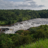 Murchison Falls National Park