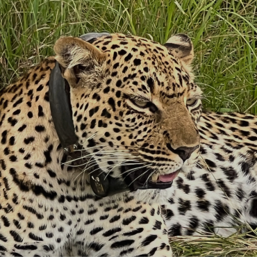 Queen Elizabeth National Park